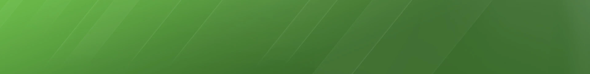 Duolingo